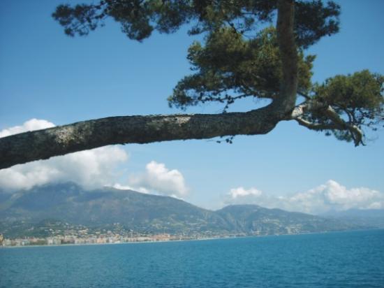 Roquebrune Cap Martin