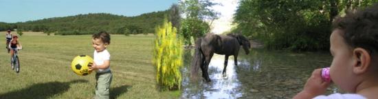 Entete site montage 3 reech